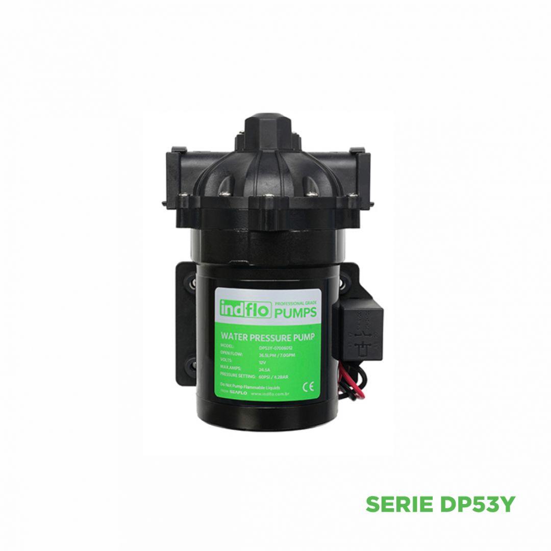 bomba-12v-indflo-26lt-4-bar-viton-xanto-switch-serie-dp53a-14695